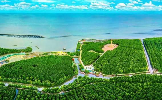 Tour Sinh Thái Cà Mau Từ An Giang